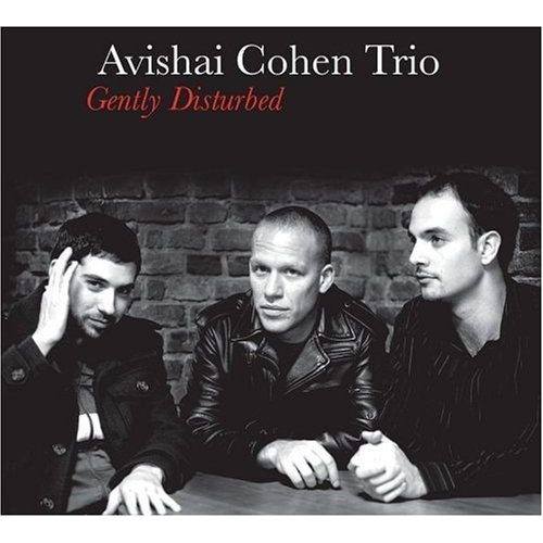AVISHAI COHEN (BASS) / アヴィシャイ・コーエン / Gently Disturbed(LP)
