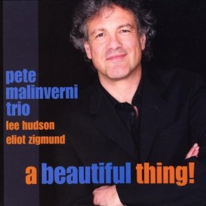 PETE MALINVERNI / ピート・マリンベルニ商品一覧｜JAZZ｜ディスクユニオン・オンラインショップ｜diskunion.net