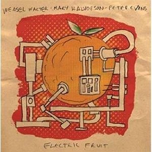 MARY HALVORSON & PETER EVANS & WEASEL WALTER / Electric Fruit