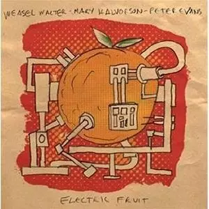 MARY HALVORSON & PETER EVANS & WEASEL WALTER / Electric Fruit