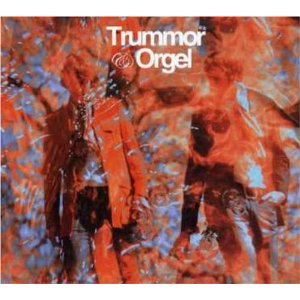 TRUMMOR & ORGEL / Reflections from a Watery World