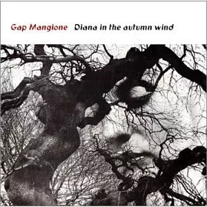 Diana in the autumn wind 激レア Diana In The Autumn Wind/GAP MANGIONE/ギャップ・マンジョーネ/RARE