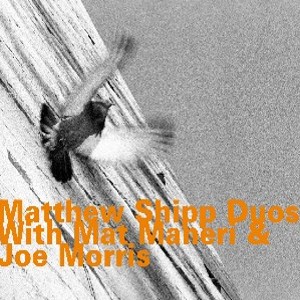 MATTHEW SHIPP / マシュー・シップ / Duos With Mat Maneri & Joe Morris 