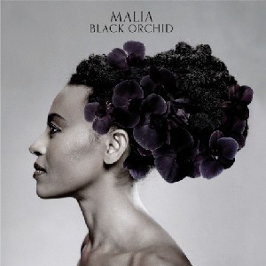 MALIA (JAZZ) / Black Orchid
