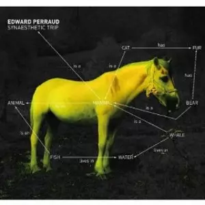 EDWARD PERRAUD / Synaesthetic Trip