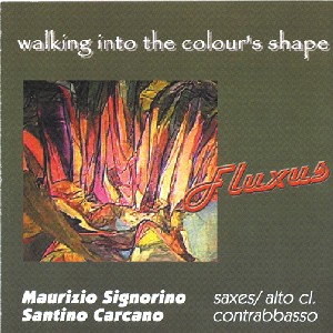 MAURIZIO SIGNORINO & SANTINO CARCANO / マウリツィオ・シニョリーノ&サンティーノ・カルカーノ / Waliking Into The Colour's Shape