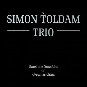 SIMON TOLDAM / Sunshine Sunshine or Green as Grass