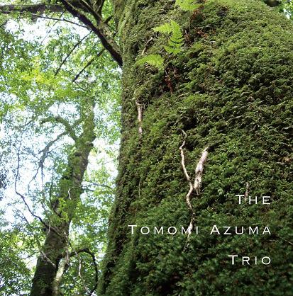 TOMOMI AZUMA / 東ともみ / 屋久島組曲