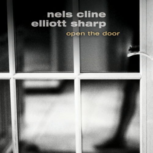 NELS CLINE / ネルス・クライン / Open the Door 