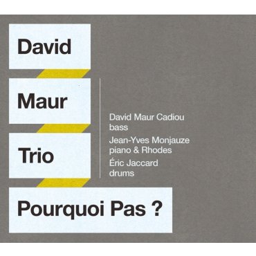 DAVID MAUR CADIOU / ダヴィッド・モウ / Pourquoi Pas?