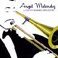ANGEL MELENDEZ & THE 911 MAMBO ORCHESTRA / ANGEL MELENDEZ & THE 911 MAMBO ORCHESTRA