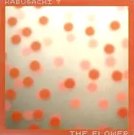 FERNANDO KABUSACKI / フェルナンド・カブサッキ / FLOWER + THE RADIO