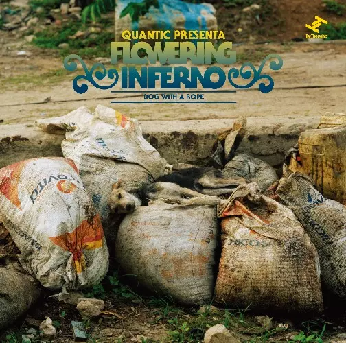 QUANTIC PRESENTA FLOWERING INFERNO / クアンティック・プレセンタ・フローワリング・インフェルノ / DOG WITH A ROPE