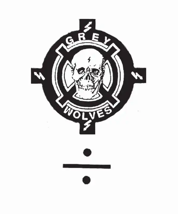 GREY WOLVES / グレイ・ウルヴス / DIVISION [CD]