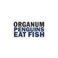 ORGANUM : DAVID JACKMAN / オルガナム/デヴィッド・ジャックマン / PENGUINS EAT FISH : LITTLE DARK WING