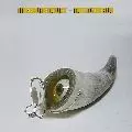 ANEMONENGURT / AUDIOZIRKUS