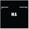 MAURIZIO BIANCHI (M.B.) / マウリツィオ・ビアンキ (M.B.) / EVIDENCES VOL. 1 - FINAL INDUSTRIAL MUSIC 1980