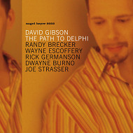 DAVID GIBSON / デビッド・ギブソン / THE PATH TO DELPHI