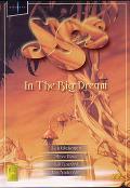 ANDERSON BRUFORD WAKEMAN HOWE / アンダーソン・ブルーフォード・ウェイクマン・ハウ / IN THE BIG DREAM