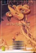 ANDERSON BRUFORD WAKEMAN HOWE / アンダーソン・ブルーフォード・ウェイクマン・ハウ / IN THE BIG DREAM