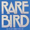 RARE BIRD / レア・バード / AS YOUR MIND FLIES BY