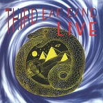 THIRD EAR BAND / サード・イヤー・バンド / LIVE