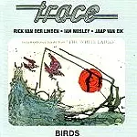 TRACE / トレース / BIRDS