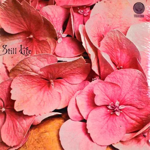 STILL LIFE / スティル・ライフ商品一覧｜PROGRESSIVE ROCK