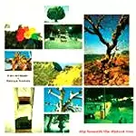 EIKO ISHIBASHI/TATUYA YOSHIDA / 石橋英子+吉田達也 / SLIP BENEATH THE DISTANT TREE