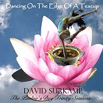 DAVID SURKAMP / デイヴィッド・サーカンプ / DANCING ON THE EDGE OF A TEACUP