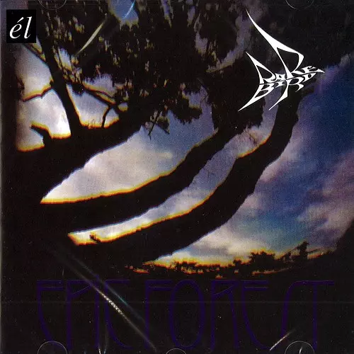 RARE BIRD / レア・バード商品一覧｜PROGRESSIVE ROCK｜ディスク