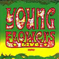YOUNG FLOWERS / ヤング・フラワーズ / LIVE 1969