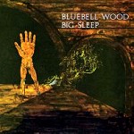 BIG SLEEP / ビッグ・スリープ / BLUEBELL WOOD - 24BIT REMASTER