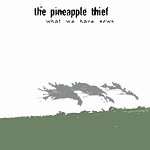 PINEAPPLE THIEF / パイナップル・シーフ / WHAT WE HAVE SOWN