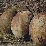 DRIVEN / WRECKAGE