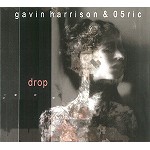 GAVIN HARRISON / 05RIC / DROP