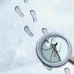 SEVEN STEPS TO THE GREEN DOOR / セヴン・ステップス・トゥ・ザ・グリーン・ドア / STEP IN 2 MY WORLD