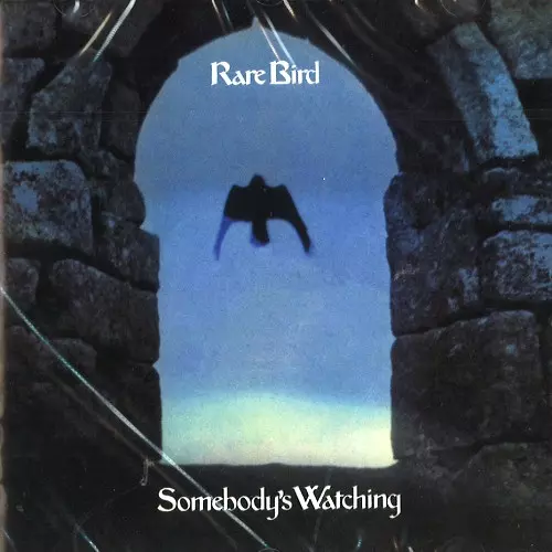 RARE BIRD / レア・バード商品一覧｜PROGRESSIVE ROCK｜ディスク