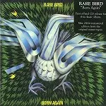 RARE BIRD / レア・バード商品一覧｜PUNK｜ディスクユニオン