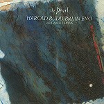 HAROLD BUDD & BRIAN ENO / ハロルド・バッド&ブライアン・イーノ / THE PEARL