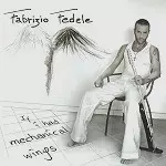 FABRIZIO FEDELE / IF I HAD MECHANICAL WINGS