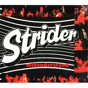 STRIDER / ストライダー / MISUNDERSTOOD