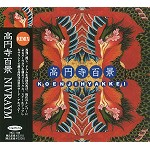 KOENJIHIYAKKEI / 高円寺百景 / NIVRAYM - リミックス