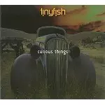 TINYFISH / CURIOUS THINGS