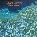 SPIRITS BURNING / スピリッツ・バーニング / CRAZY FLUID