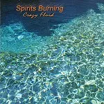 SPIRITS BURNING / スピリッツ・バーニング / CRAZY FLUID