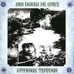 JAN DUKES DE GREY / ヤン・デュークス・ディ・グレイ / STRANGE TERRAIN