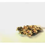 DISCIPLINE (PROG: US) / ディシプリン / THE SHATTER ALL ACCORD