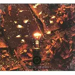 DAVE STEWART/BARBARA GASKIN / デイヴ・スチュワート&バーバラ・ガスキン / THE BIG IDEA: SPECIAL EDITION - DIGITAL REMASTER