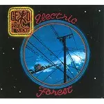 GEKKO PROJEKT / ELECTRIC FOREST